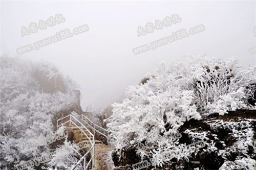 廣東也可看銀裝素裹的雪景 精密檢測治具公司小編也贊嘆不已